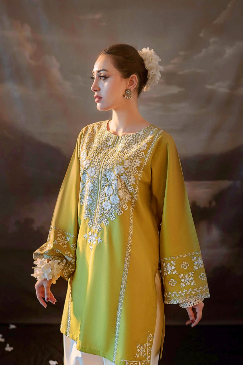 2 Piece Unstiched Embroidery Dhanak