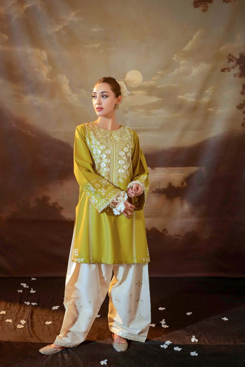 2 Piece Unstiched Embroidery Dhanak