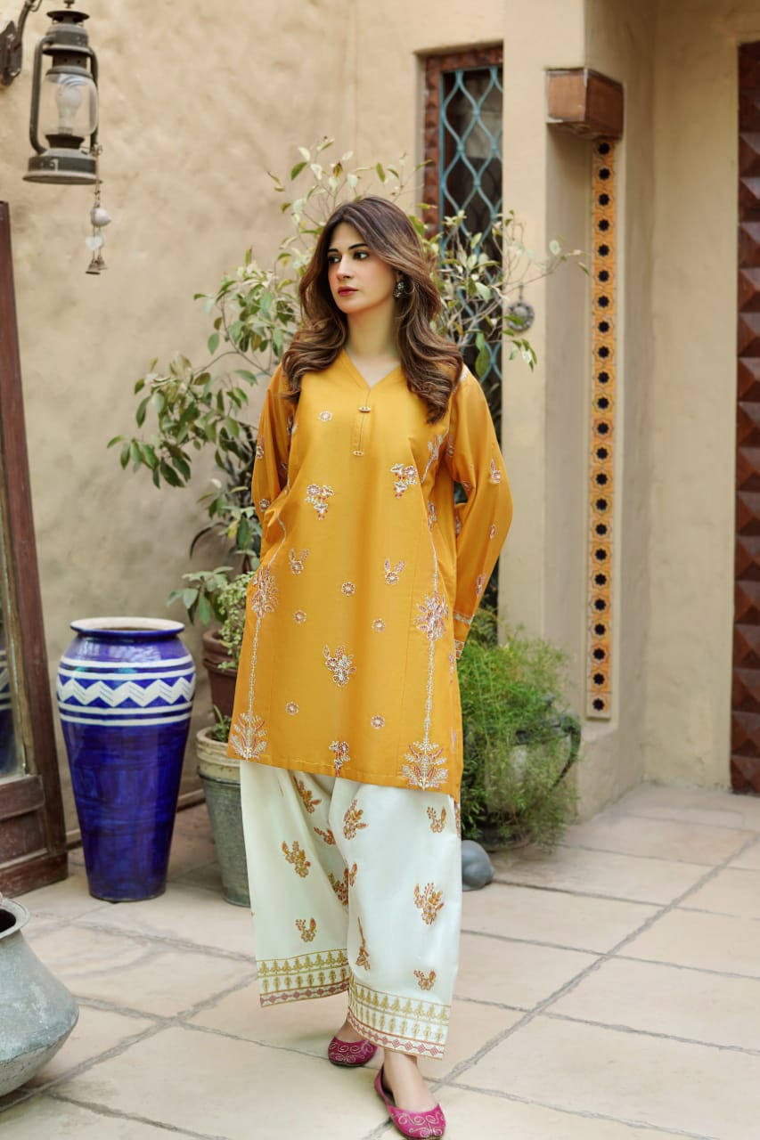 2 Piece Unstiched Embroidery Dhanak