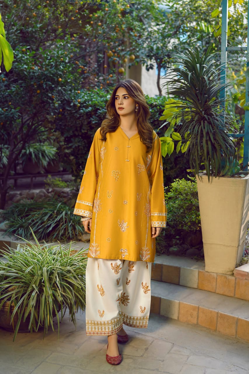 2 Piece Unstiched Embroidery Dhanak